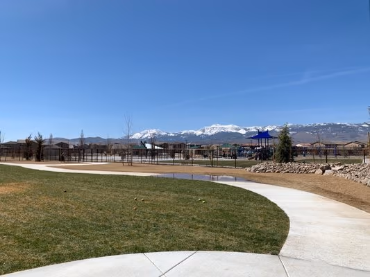 Dog Park at Cyan Park photo 2